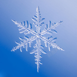 漂亮的水晶音符漂亮的水晶雪花高清图片