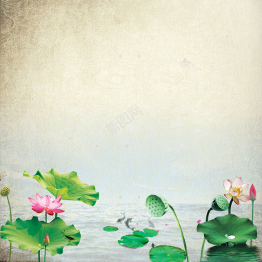 中国风美丽莲花池背景背景