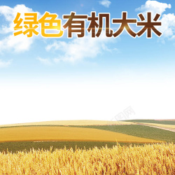 原生态米清新田园风格食品大米主图高清图片