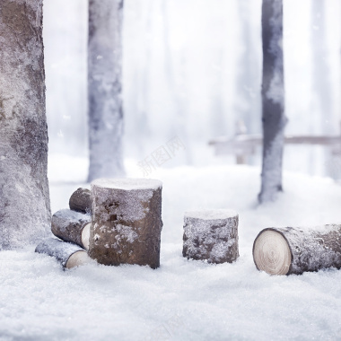 冬天树桩背景摄影图片