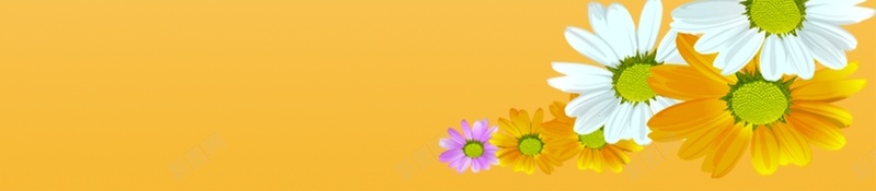 简约制度展板背景模板大全cdr设计背景_新图网 https://ixintu.com 制度 制度展板 大全 展板模板 开心 橙色 简单 简约 简约背景 花卉 黄色