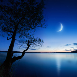 湖边生活湖岸边的夜景高清图片