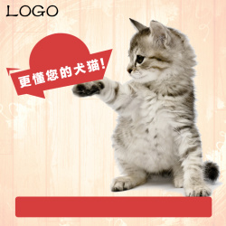 猫粮直通车猫咪宠物猫粮直通车高清图片