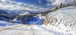雪地树林冬天野外道路背景高清图片