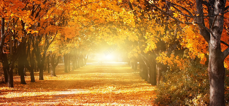 秋天围巾秋季背景摄影图片