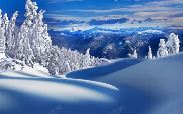 蓝色天空雪山雪树jpg设计背景_新图网 https://ixintu.com 天空 蓝色 雪山
