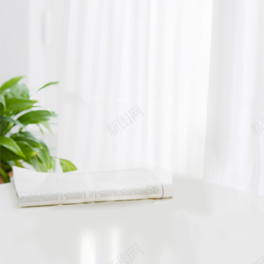 绿色植物白色落地窗简约家居用品主图背景背景