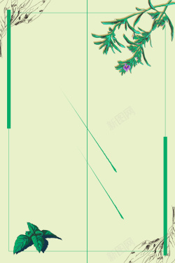 植物药草植物药草海报背景高清图片