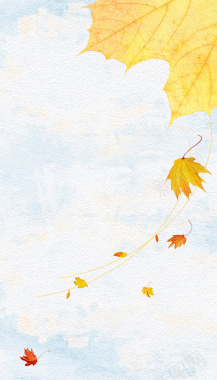 秋季枫叶海报背景背景