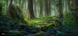 梦幻神秘梦幻童话森林背景高清图片