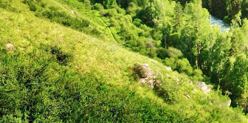 大山下面的森林H5jpg设计背景_新图网 https://ixintu.com H5素材 云团 小清新 文艺 森林 清新 简约 绿色