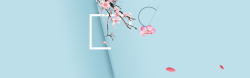 蓝色花朵文档框春天简约蓝色背景高清图片