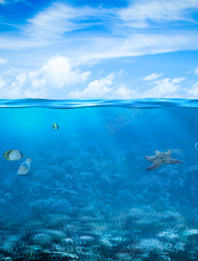 蓝天白云风景海面海底鱼类背景背景