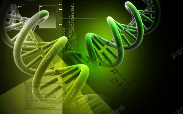 DNA结构背景背景