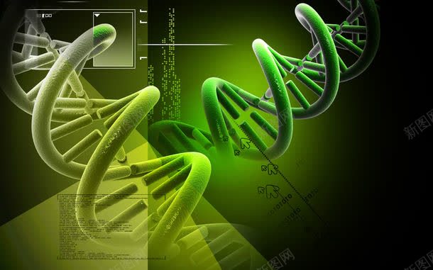 DNA结构背景jpg设计背景_新图网 https://ixintu.com DNA结构 DNA结构背景图片 DNA结构背景图片素材下载 医学背景 医学背景图片 医疗科技 医疗背景 图片素材 科技背景 背景花边