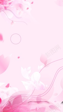 粉色花瓣花朵线条女性化妆品护肤品背景背景