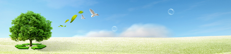 环保绿色叶子鸽子背景摄影图片