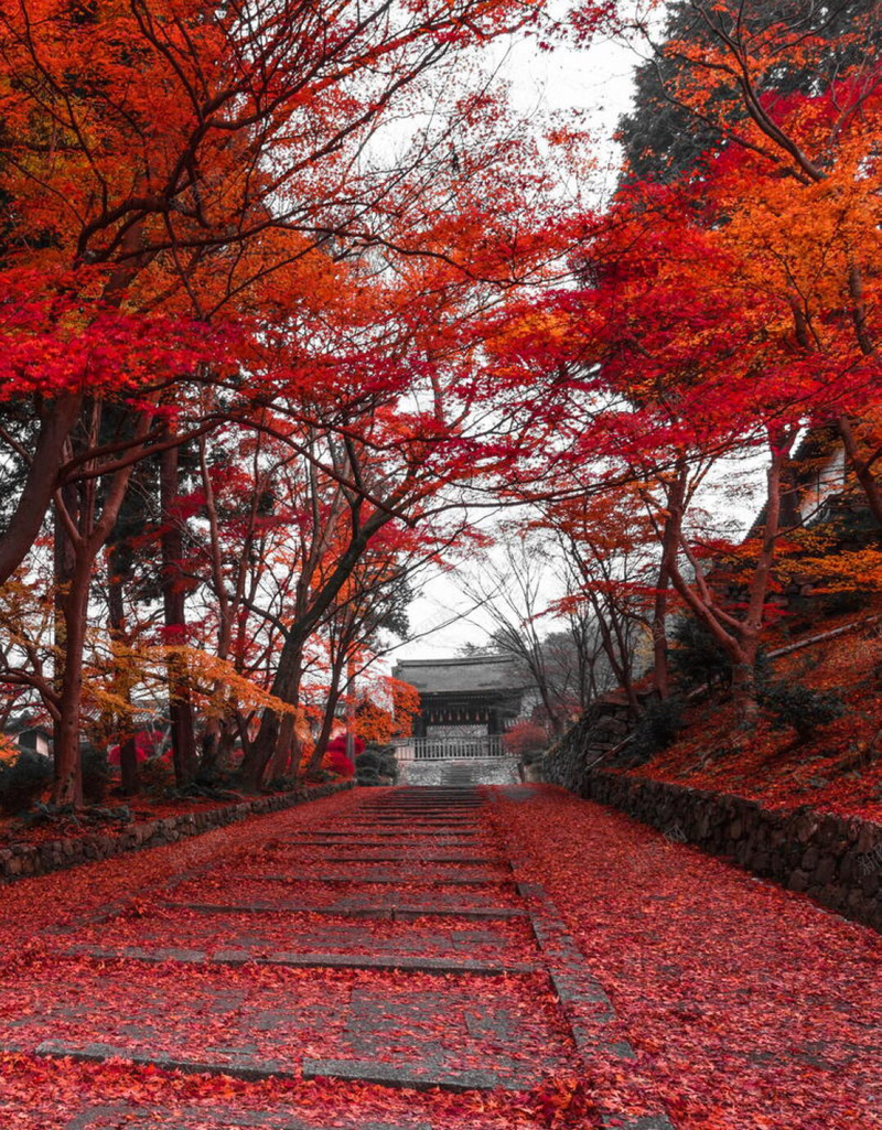 秋天风景气氛jpg_新图网 https://ixintu.com 大图 奇景 摄影 背景 风景