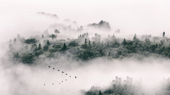 诗琴花艺醉山水背景
