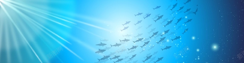 夏日鱼群潜水风景矢量图背景