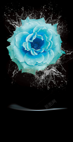 清新花卉蓝色花卉化妆品海报背景高清图片
