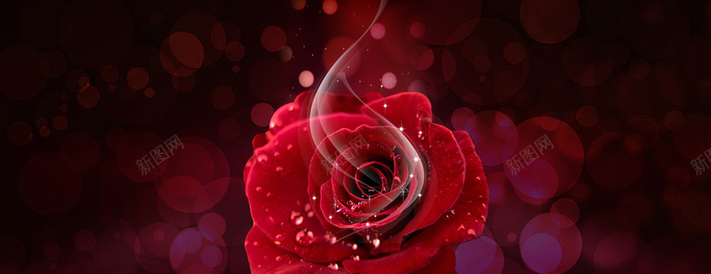 护肤化妆品红色玫瑰高贵大气背景背景