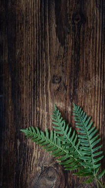 木板木纹树叶H5背景背景