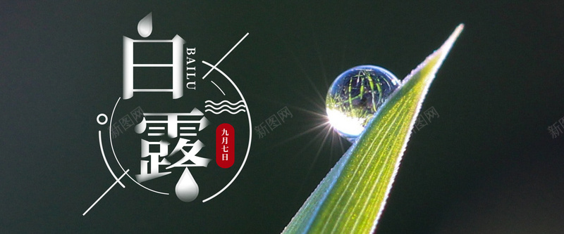 二十四节气白露水珠banner海报psd设计背景_新图网 https://ixintu.com 二十四节气 摄影 水珠 白露 节气 露水 露珠