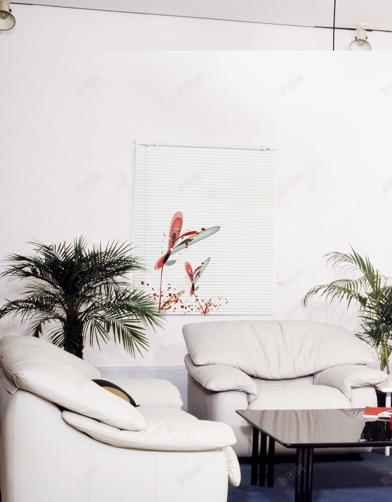 沙发旁边的绿植背景psd_新图网 https://ixintu.com 地板 墙壁 摄影 桌子 沙发 海报 温暖 绿植 背景