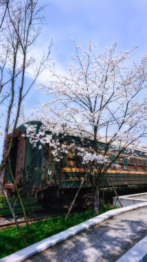 春季火车风景背景