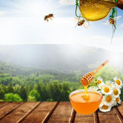 蜂蜜直通森林蜂蜜蜂巢PSD分层主图背景高清图片