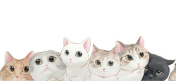 猫咪海报手绘猫咪背景高清图片