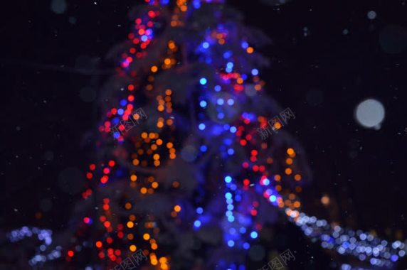 夜空模糊美丽圣诞树背景