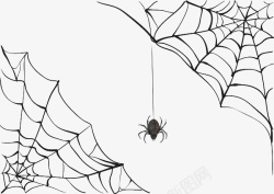 线条蛛网手绘黑色蜘蛛网丝高清图片