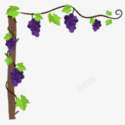 手绘葡萄园简洁大方装饰手绘葡萄藤图高清图片