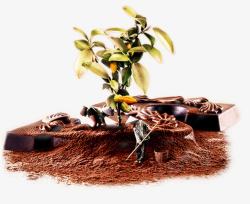 依蒂安斯可可纯黑巧克力种植图素材
