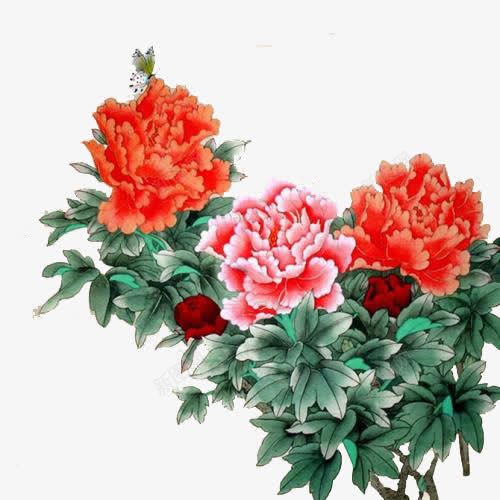 水墨画手绘芙蓉花png图片免费下载 素材7sxgawgkv 新图网 水墨画手绘芙蓉花png图片免费下载 素材7sxgawgkv 新图网
