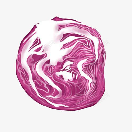 紫甘蓝手绘画片png免抠素材_新图网 https://ixintu.com 包菜 紫甘蓝 紫色 色粉画 蔬菜