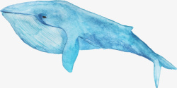 水彩蓝鲸矢量图素材