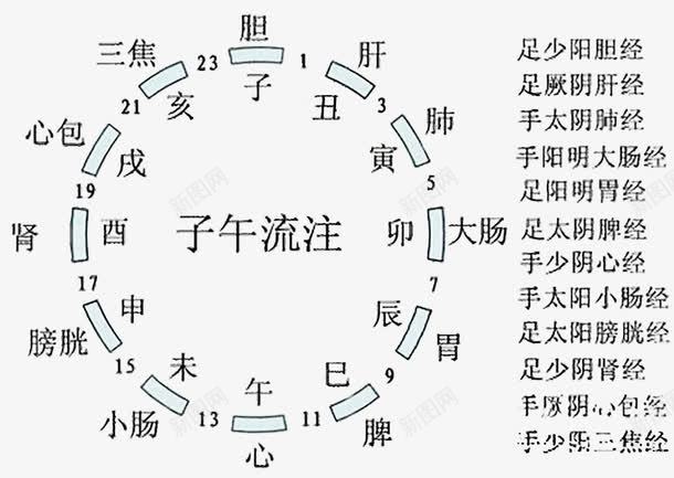 十二时辰养生图png免抠素材_新图网 https://ixintu.com 中国文化 养生 结构图 黄帝内经