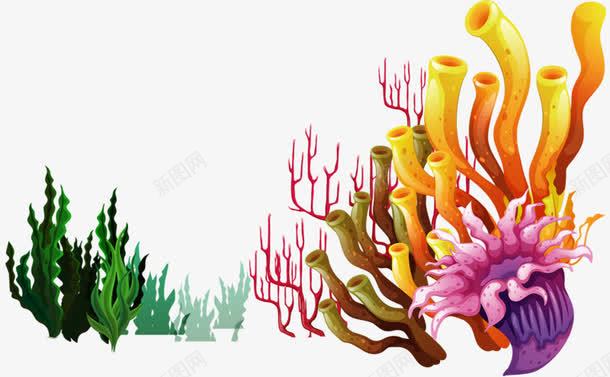 海洋生物png免抠素材_新图网 https://ixintu.com 海底素材 海洋生物 海草 海葵图片