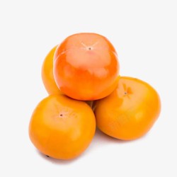 新鲜脆柿子矢量插画四个柿子高清图片