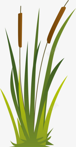 绿色杂草绿色卡通芦苇植物高清图片