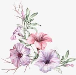 紫色布料手绘花卉紫色喇叭花高清图片