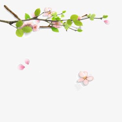 春天背景图片春天的树枝片高清图片