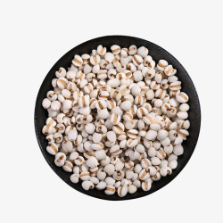 金沙薏米有机美食薏米仁高清图片