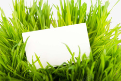 名片空白草地上的卡片高清图片