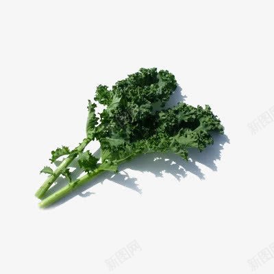 苔菜叶子png免抠素材_新图网 https://ixintu.com 农产品 新鲜蔬菜 有机蔬菜 绿色 美食 苔菜