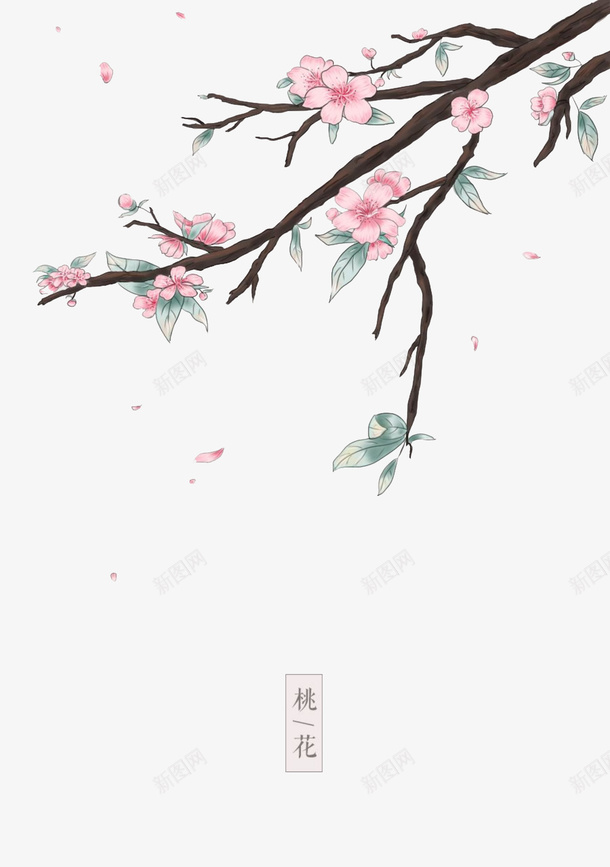 手绘桃花桃枝飘落的桃花花瓣png免抠素材_新图网 https://ixintu.com 卡通桃树 叶子 手绘 桃枝 桃花 桃花瓣 花瓣 飘落的花瓣