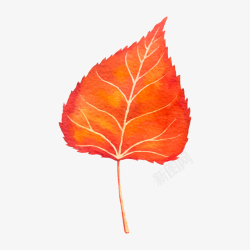松树叶手绘红色叶子高清图片